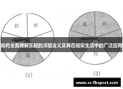 如何全面理解东超的深层含义及其在现实生活中的广泛应用