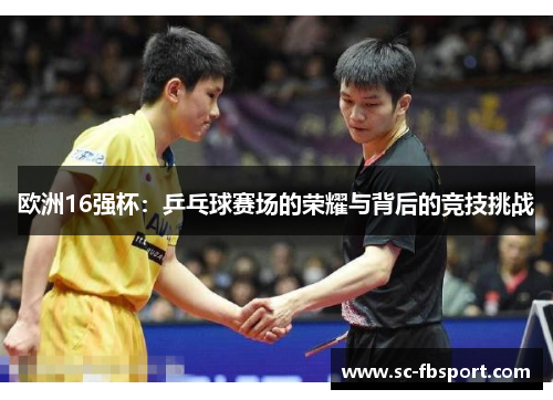 欧洲16强杯:乒乓球赛场的荣耀与背后的竞技挑战 欧洲16强杯:乒乓球赛场的荣耀与背后的竞技挑战
