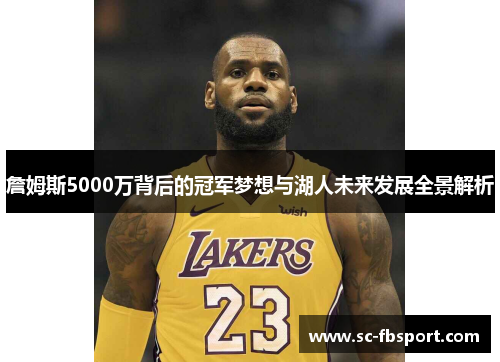 詹姆斯5000万背后的冠军梦想与湖人未来发展全景解析